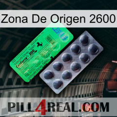 Home Zone 2600 new04